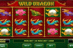 wild dragon img