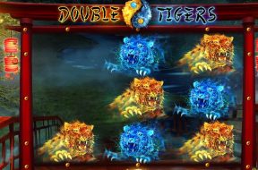 double-tigers-img