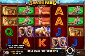 safari-king-img