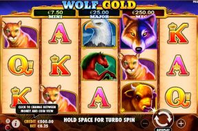 wolf-gold-img