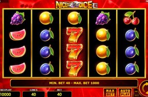 nicer-dice-40-img