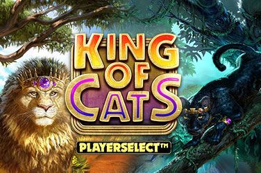 King of Cats Slot Game Free Play at Casino Kenya