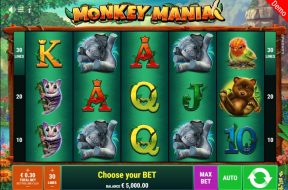 monkey-mania-img