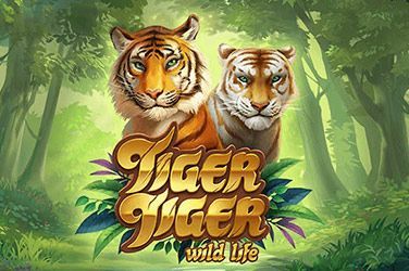 Tiger Tiger Wild Life Slot Game Free Play at Casino Kenya