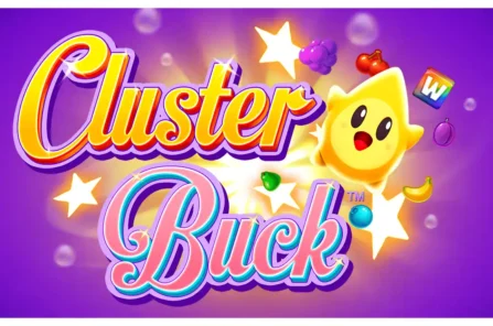 ClusterBuck-slot-cover