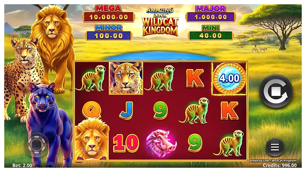 Amazing Link WildCat Kingdom s1