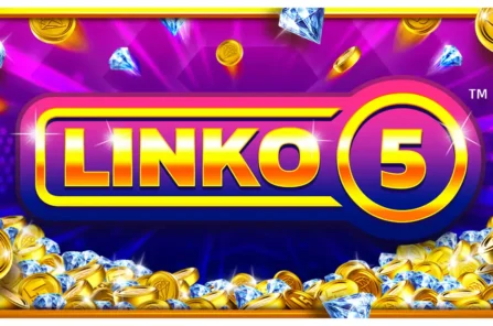 Linko 5 slot cover